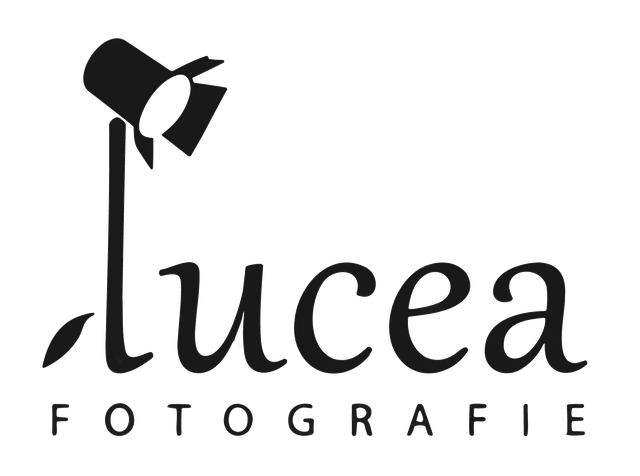 Lucea fotografie